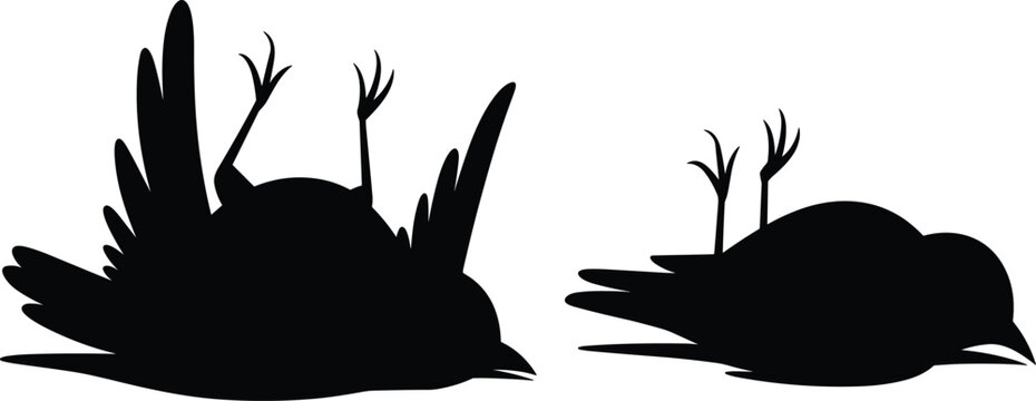 Dead bird silhouette vector set with upside down poses, wildlife mortality concept illustration design