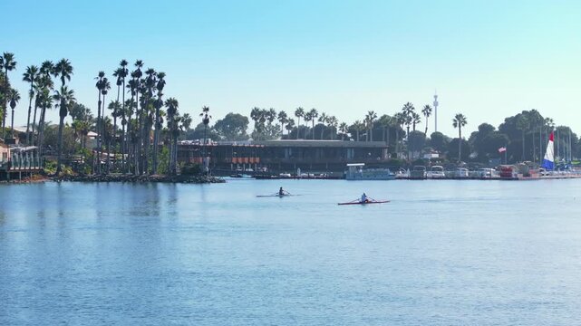 Two athletes row single sculls across calm blue bay waters on sunny day. Tall palm trees line shore with waterfront homes and marina visible in background.