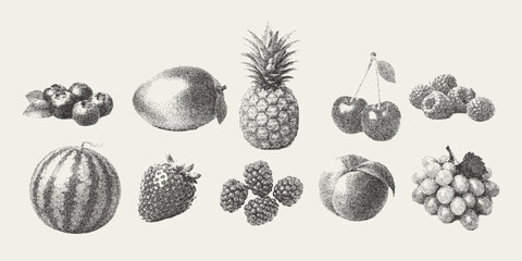 Vector summer fruits and berries trendy retro photocopy effect. Modern stipple dots texture for design art. y2k vintage collage set. © Alexandra Lipina