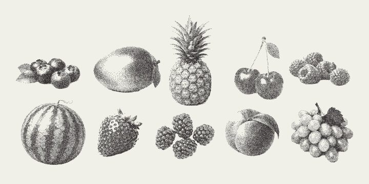 Vector summer fruits and berries trendy retro photocopy effect. Modern stipple dots texture for design art. y2k vintage collage set.