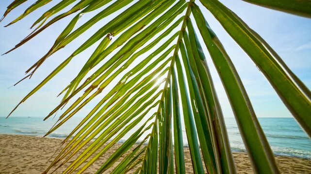 Green Palm Leaves Against a Clear Blue Tropical Sky. Sunlight Sparkles, Evoking the Charm of a Tropical Island. Scenery for Vacation and Holiday Background. Beautiful Tropical Beach