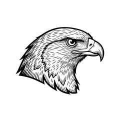 Fototapeta premium Eagle Head Illustration Closeup Profile View.