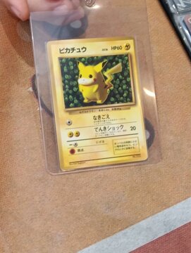 Pok&eacute;mon - Cole&ccedil;&atilde;o de cartas de Pok&eacute;mon - Pokemon card collection.