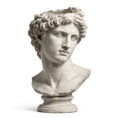 Obraz premium Classical marble sculpture head