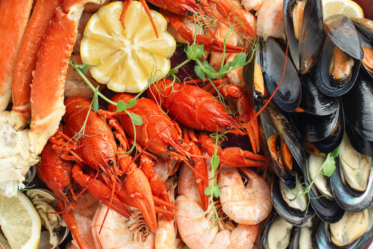 background of various seafood close-up