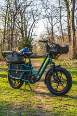 Fototapeta premium Electric cargo bike with bags on front and rear rack standing on path in city park. Modern urban transport, eco mobility, sustainable lifestyle and clean commuting concept.