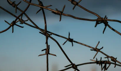 Wire fence stands against a blue sky and clouds in a rural area at dusk © Evgenii Bakhchev