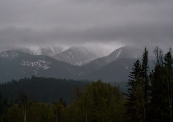 Naklejka premium Distant mountain peaks covered in patches of snow under a heavy gray cloud cover overlooking a dense forest