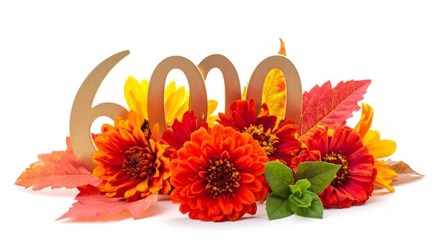 A golden number 6000 is nestled amidst vibrant orange, red, and yellow flowers and autumnal leaves, set against a white backdrop