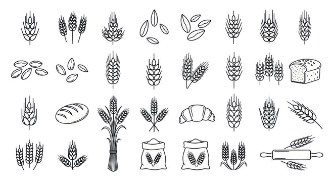 Hand-drawn Wheat Icons: Grains, Bread, Croissant, Bakery Set