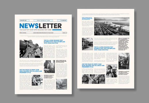 Professional Corporate Newsletter Layout