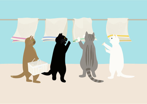 洗濯物タオルを干す4匹の猫