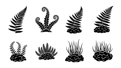 Obraz premium Collection of Black Silhouettes of Different Fern and Plant Fronds and Sprouts in Various Shapes