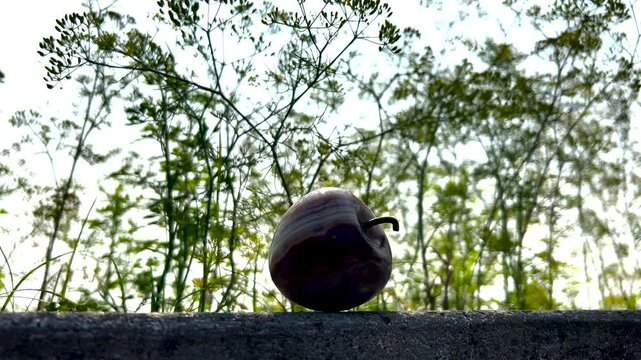 Ceramic apple decoration hanging from thin tree branches in a sunny garden