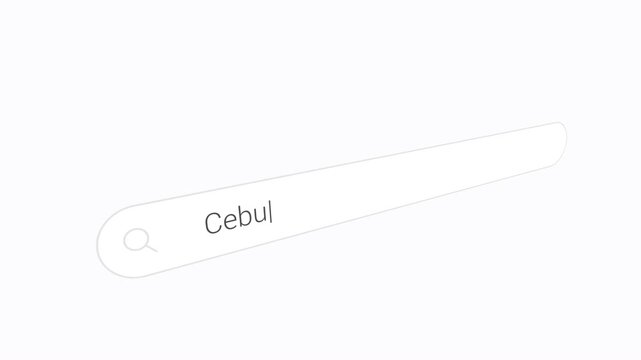 Searching Cebu on the Browser - Close Up