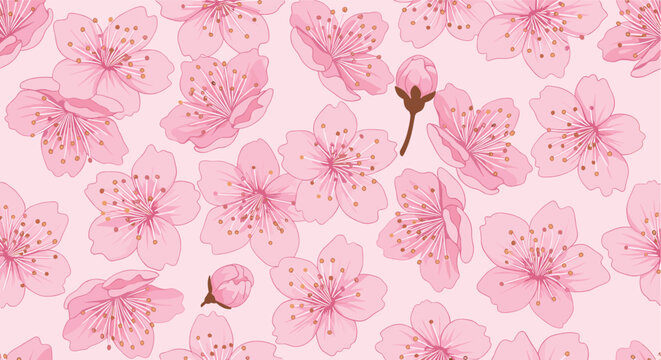 Elegant seamless pattern of falling pink cherry blossoms and buds on a matching light pink background for a romantic floral theme.