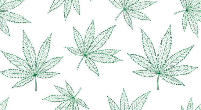 Marijuana leaf seamless pattern in green line art style on white background for herbal medicine or botanical themes.