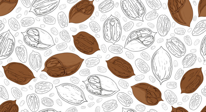 organic pecan nuts texture with shelled and unshelled whole nuts and halves in a detailed seamless pattern for food packaging design.