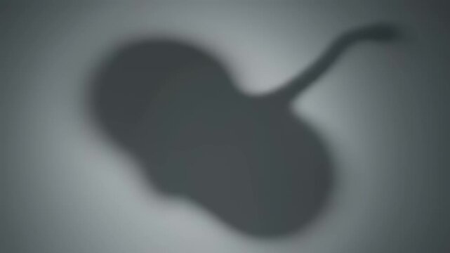 Dark shapes on gray background.