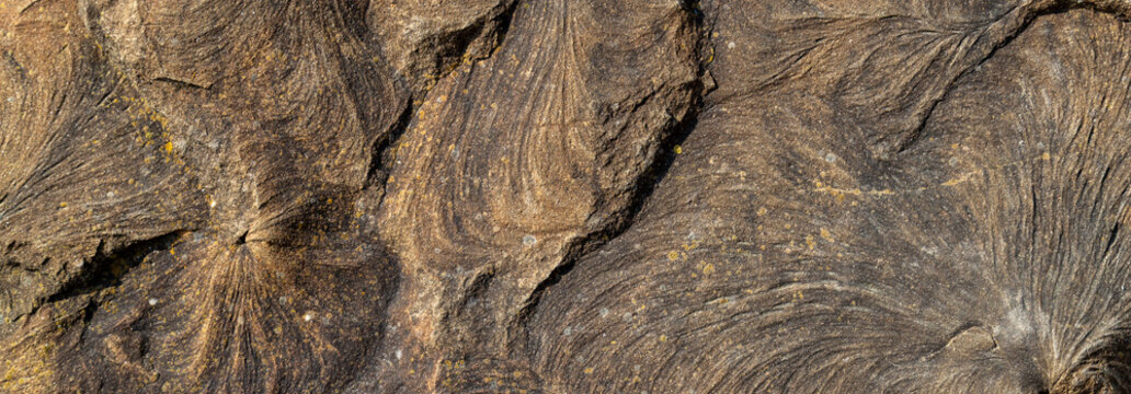 Weathered sandstone rock texture with layered erosion patterns and natural ripple lines detail