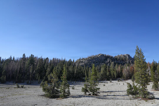 Inyo National Forest Landscape 