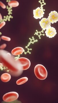 Glucose insulin blood sugar hormone molecule 3d medical diabetes metabolism red blood cell bloodstream showing glucose molecule and insulin hormone signaling regulate blood sugar interaction concept