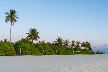 Fototapeten Tropischer Strand palm trees on the beach  © Amane