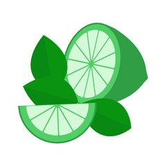 Obraz premium Lime slices vector illustration, fresh lime citrus icon