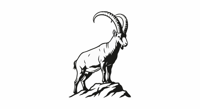 Majestic ibex stands proudly on rocky outcrop, sharp horns curved upwards