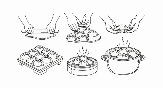 Illustration shows hands preparing and steaming dumplings in a step-by-step visual guide