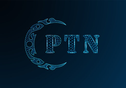 Low poly letter logo PTN design. PTN letter logo low poly vector design on blue color gradient background. PTN logo low poly design