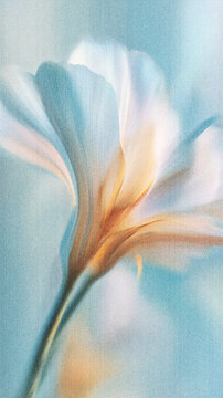 Soft blurred Y2K magnolia flower vintage background on soft teal blue-green backdrop with vertical glitch effect. Delicate white petals in dreamy soft focus with gentle light and abstract distortion c