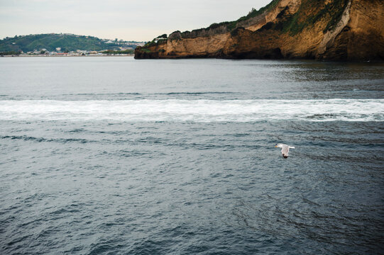 Seagull flies over the dark blue sea near a rocky cliff in Italy