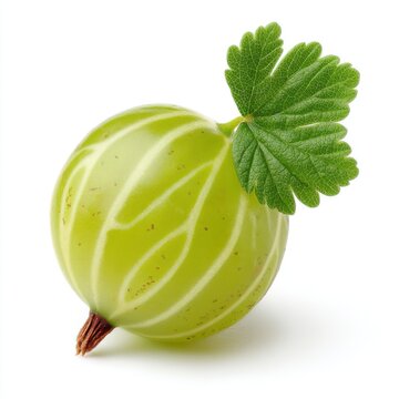 Single Fresh Ripe Green Gooseberry Fruit With Leaf On White Background Isolated