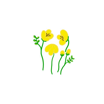 wishing your new begining freesia
