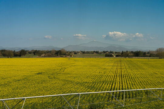 Mornas, France - 03 19 2026: View countryside with a yellow rapeseed field and mountains far away behind in sunny spring blue sky