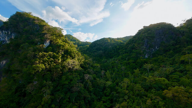 Tropical rainforest valley between green mountains. Dense jungle canopy covering hills under bright sky, creating a dramatic natural landscape with rich vegetation and untouched wilderness.