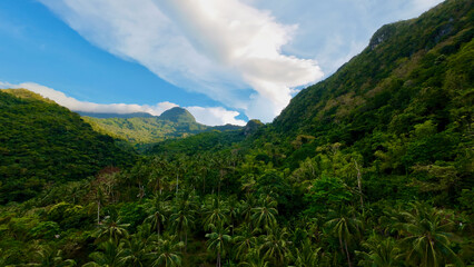 Tropical jungle valley with palm trees and mountains. Lush green rainforest landscape under dramatic sky, showcasing dense vegetation and untouched island wilderness. © Houston