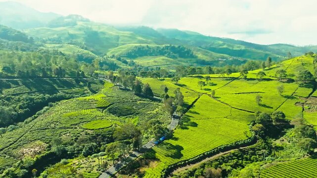 Rolling green hills valley scenic countryside view