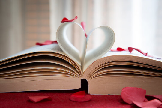 Libro aperto con pagine piegate che formano un cuore e petali di rosa rossa