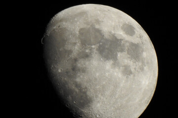 Luna © Steve Fossiant