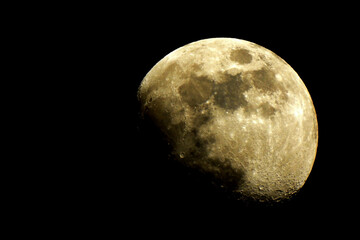 Luna © Steve Fossiant