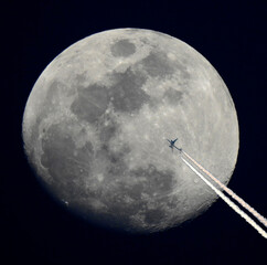 Luna © Steve Fossiant