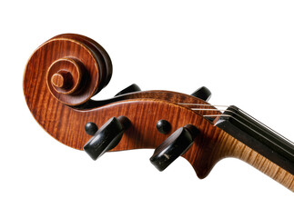 Detailed wooden violin scroll and pegbox, showcasing elegant flamed maple grain and black tuning pegs, isolated, musical instrument part
