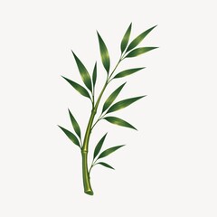 Obraz premium Elegant bamboo branch illustration.