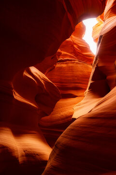 View of Antelope Canyon with smooth, wavy sandstone walls and soft light filtering from the top in Coconino County, Arizona, United States.
