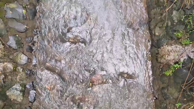 A fairly strong water flow in a small canal