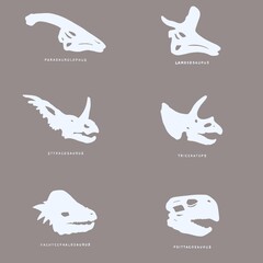 Minimalist set of dinosaur skull silhouettes: parasaurolophus, lambeosaurus, styracosaurus, triceratops, pachycephalosaurus and psittacosaurus on neutral background. Paleontology, prehistoric animals, © Aneta
