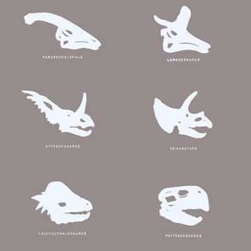 Minimalist set of dinosaur skull silhouettes: parasaurolophus, lambeosaurus, styracosaurus, triceratops, pachycephalosaurus and psittacosaurus on neutral background. Paleontology, prehistoric animals,