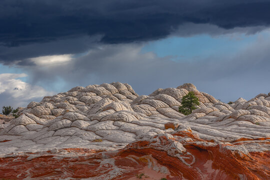 View of White Pocket rock formations featuring brain-like white textures and red sandstone under dramatic storm clouds in Coconino County, Arizona, United States.